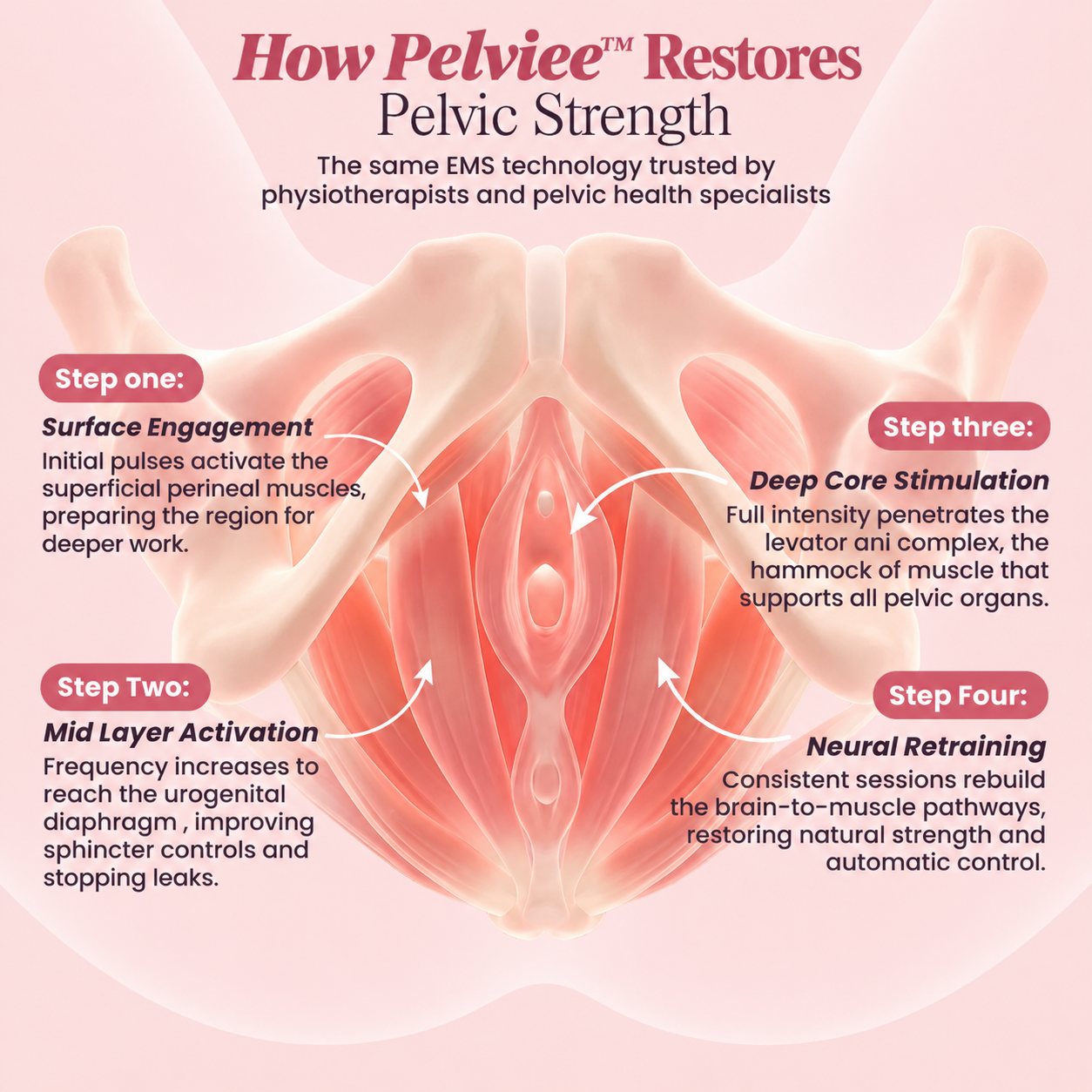 Pelviee Pelvic Floor Trainer™
